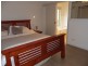 1084 Pine Mountain Road, Pine Mountain QLD 4306