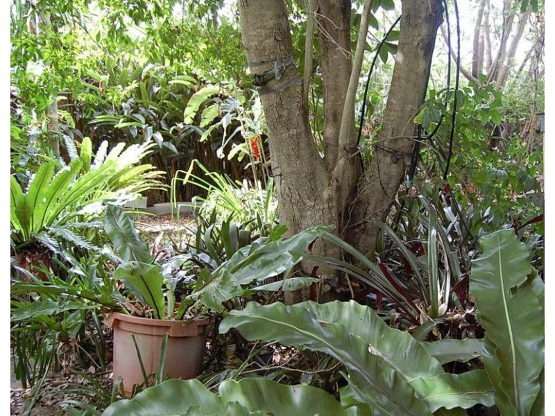 20 Islandview Street, Barellan Point QLD 4306