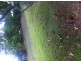 Lot 2, 18 O’Sullivan Street, Woodend QLD 4305