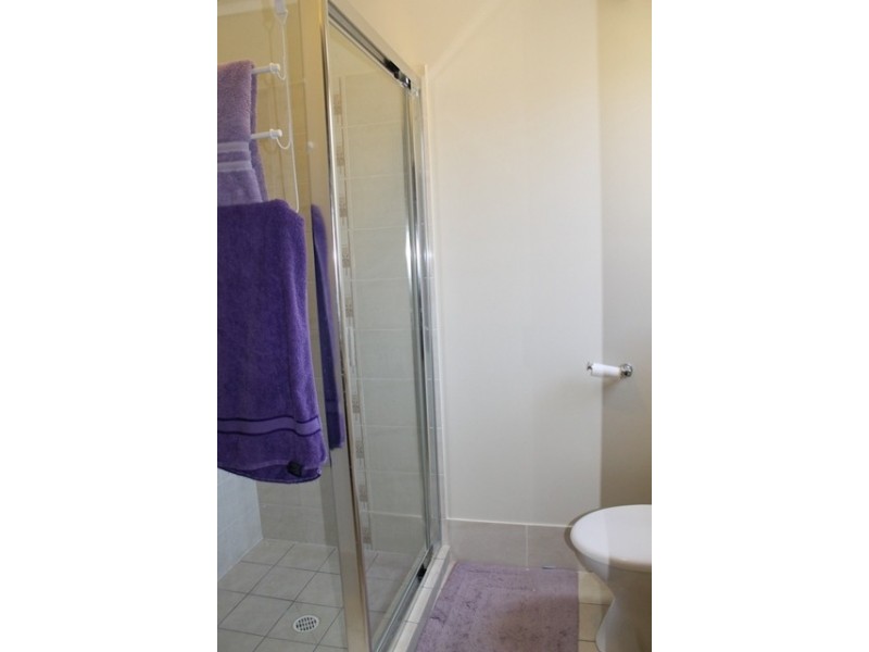 19 Tulipwood Close, Brassall QLD 4305