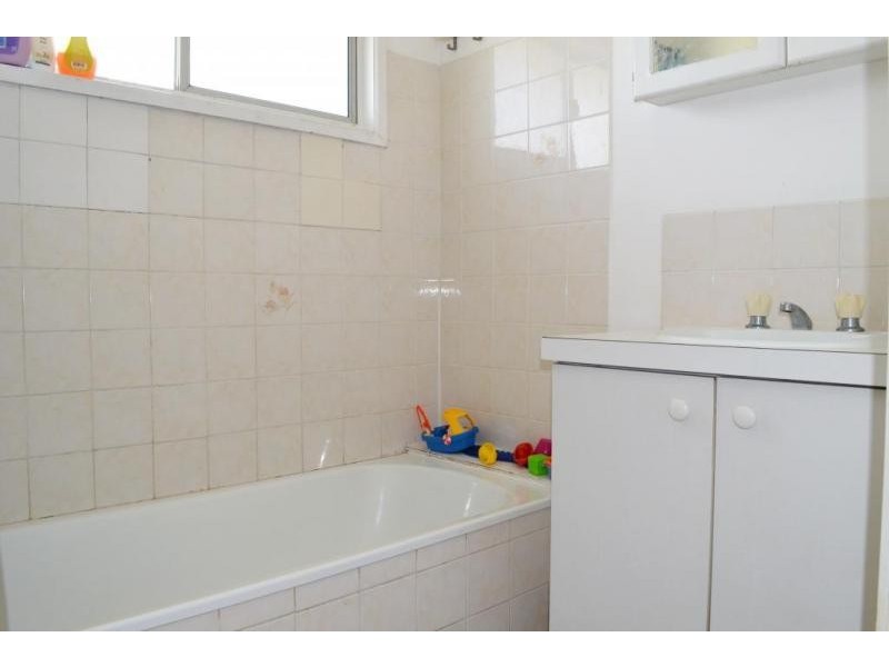 119 Chubb Street, One Mile QLD 4305