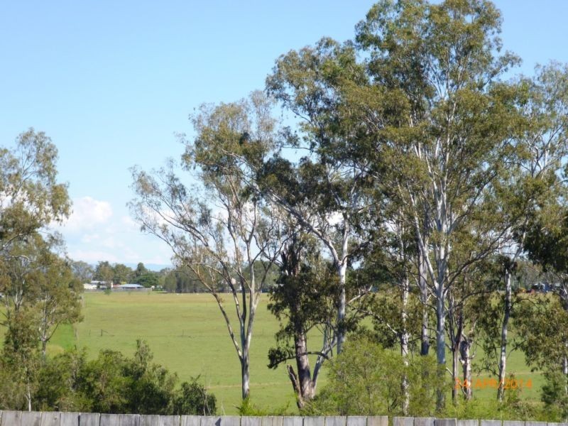 65 Vineyard Street, One Mile QLD 4305
