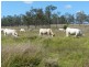 184 Old Rosevale Road, Warrill View QLD 4307
