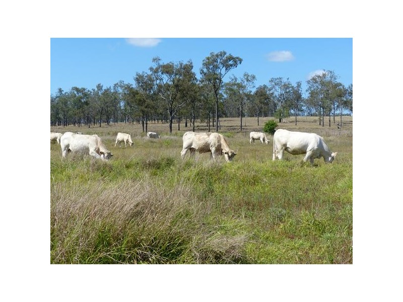 184 Old Rosevale Road, Warrill View QLD 4307