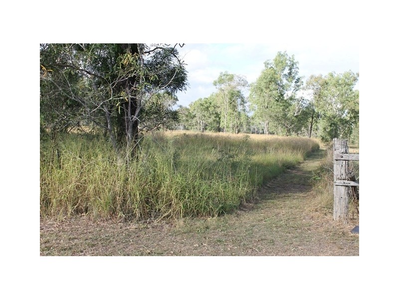 75 Poplar Street, Walloon QLD 4306