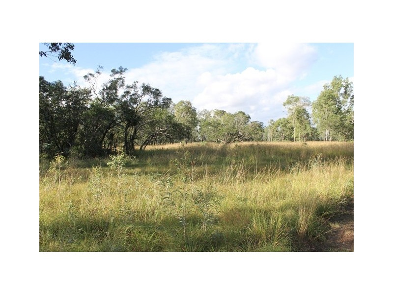 75 Poplar Street, Walloon QLD 4306