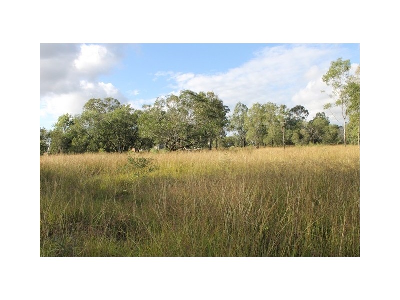 75 Poplar Street, Walloon QLD 4306