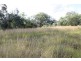 75 Poplar Street, Walloon QLD 4306