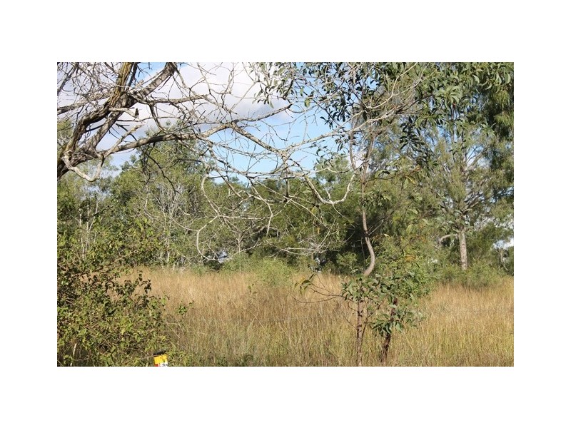 75 Poplar Street, Walloon QLD 4306