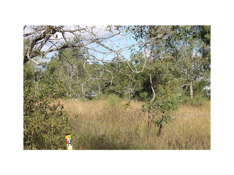 75 Poplar Street, Walloon QLD 4306