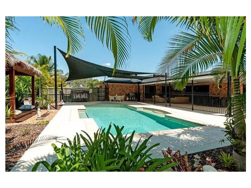 12 Lipizzaner Place, Pine Mountain QLD 4306