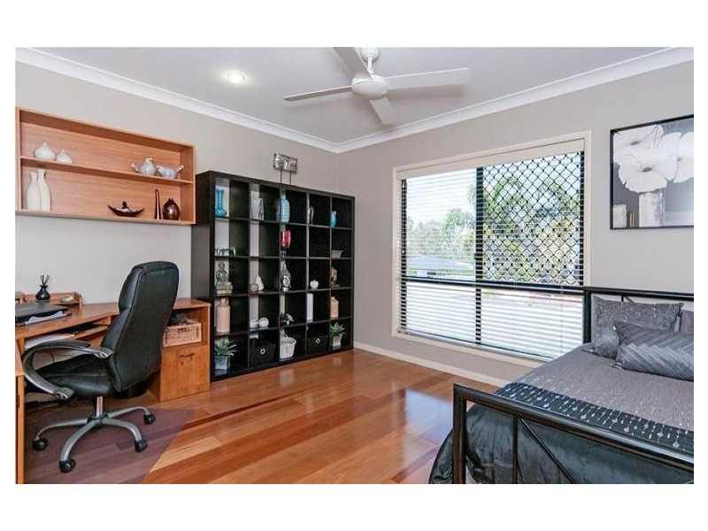 12 Lipizzaner Place, Pine Mountain QLD 4306