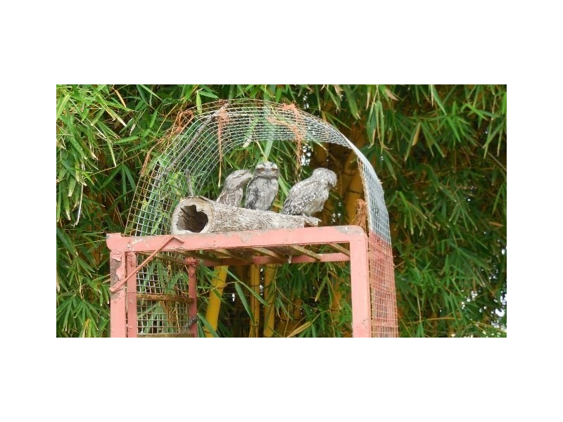 Lot 1 & 2 Lockrose Road, Lockrose QLD 4342