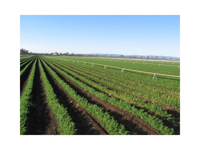 Lot 1 & 2 Lockrose Road, Lockrose QLD 4342