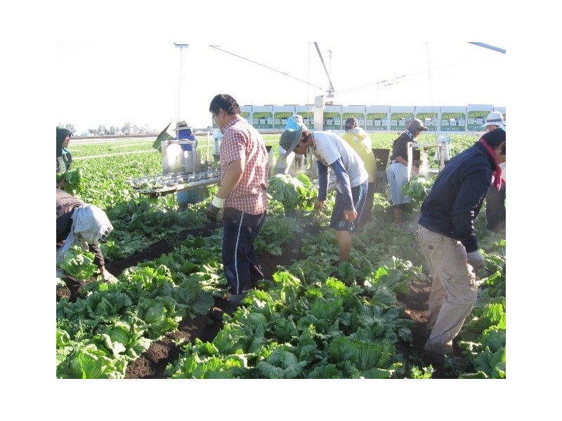 Lot 1 & 2 Lockrose Road, Lockrose QLD 4342