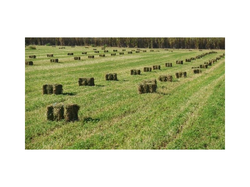 Lot 1 & 2 Lockrose Road, Lockrose QLD 4342