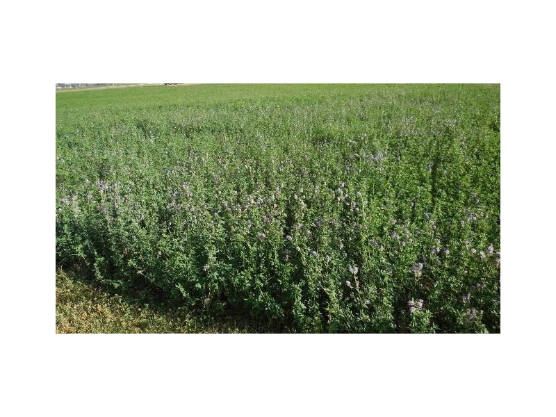 Lot 1 & 2 Lockrose Road, Lockrose QLD 4342