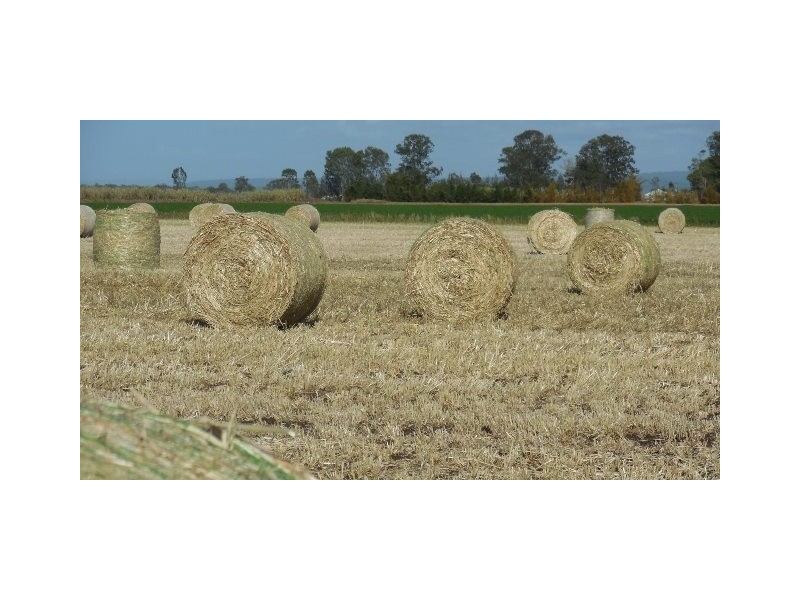 Lot 1 & 2 Lockrose Road, Lockrose QLD 4342