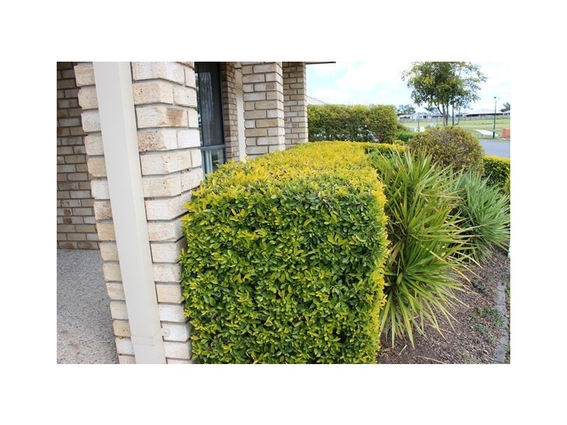 92 Jacaranda Drive, Yamanto QLD 4305