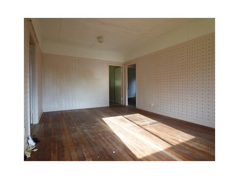 20 Vineyard Street, One Mile QLD 4305