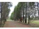 22 Ironbark Road, Ironbark QLD 4306