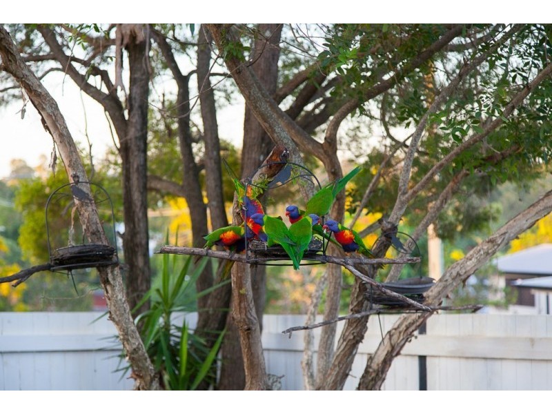 2 Maher Street, North Ipswich QLD 4305