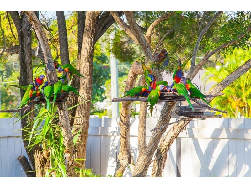 2 Maher Street, North Ipswich QLD 4305