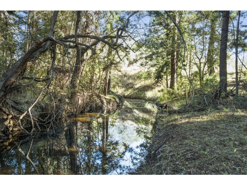Lot 5 27 F Holts Road, Pine Mountain QLD 4306