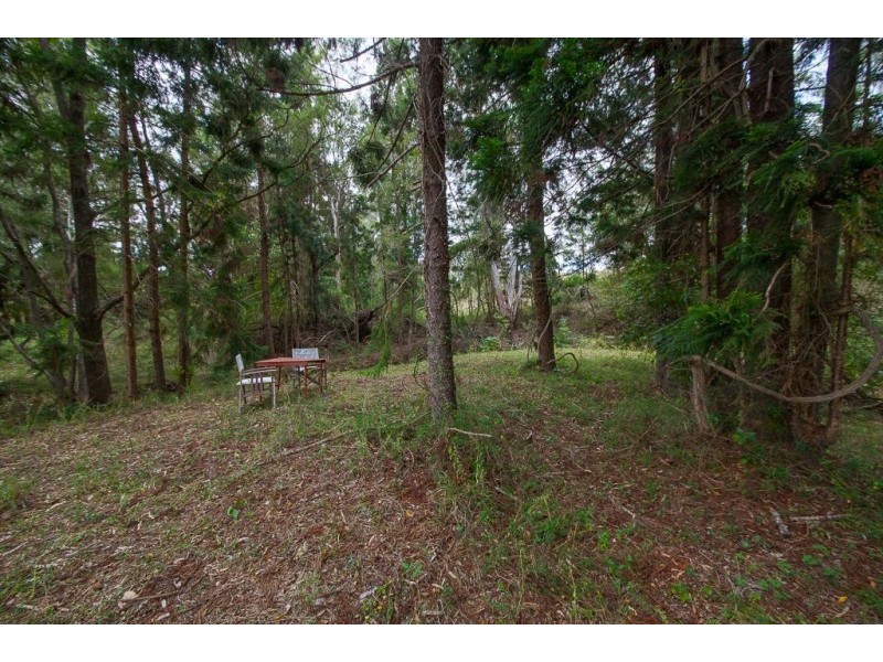 Lot 5 27 F Holts Road, Pine Mountain QLD 4306