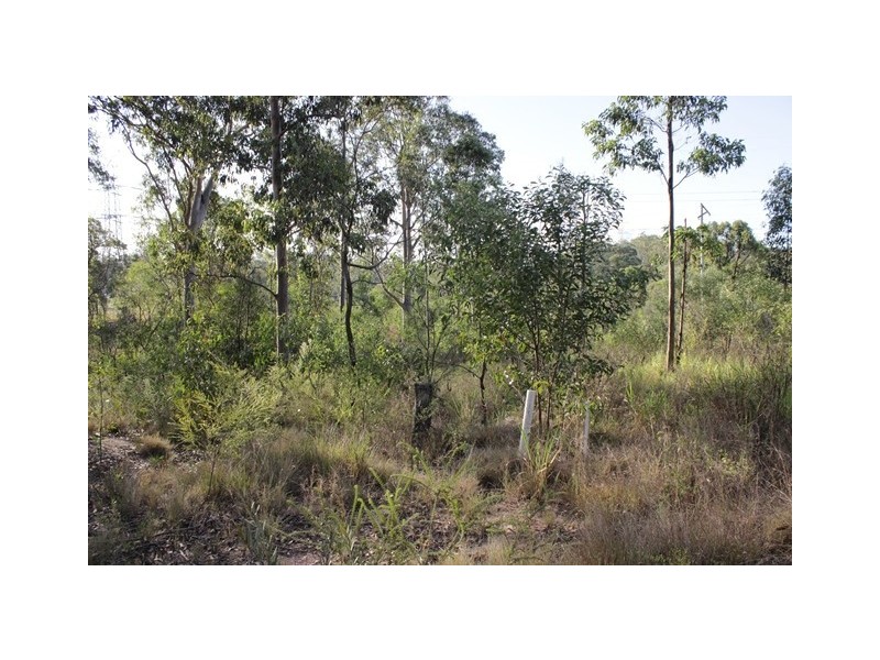 187 Barclay Street, New Chum QLD 4303