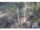 187 Barclay Street, New Chum QLD 4303