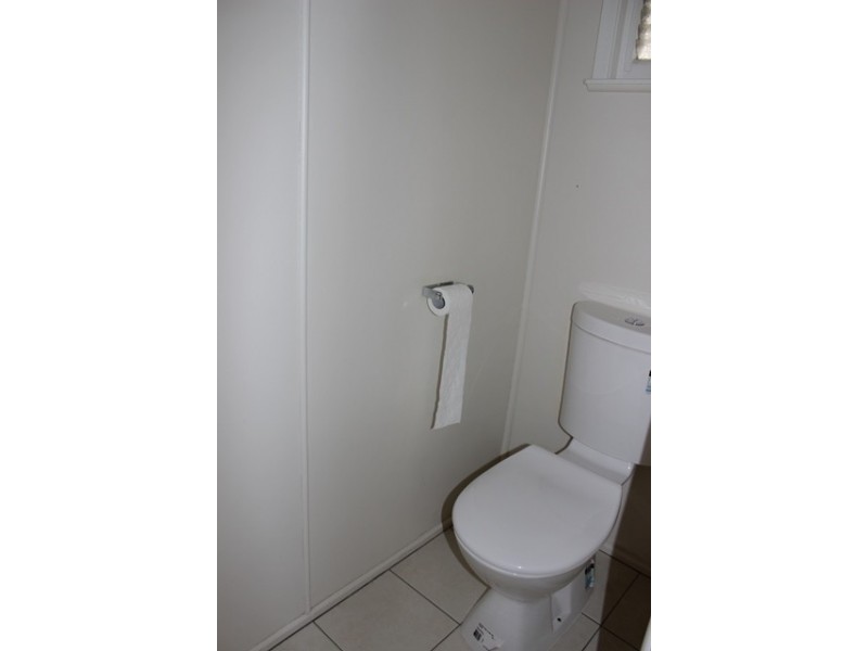 29a Chubb Street, One Mile QLD 4305