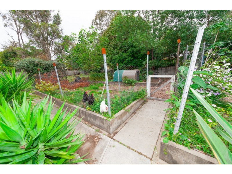 11 Jellicoe Street, Brassall QLD 4305