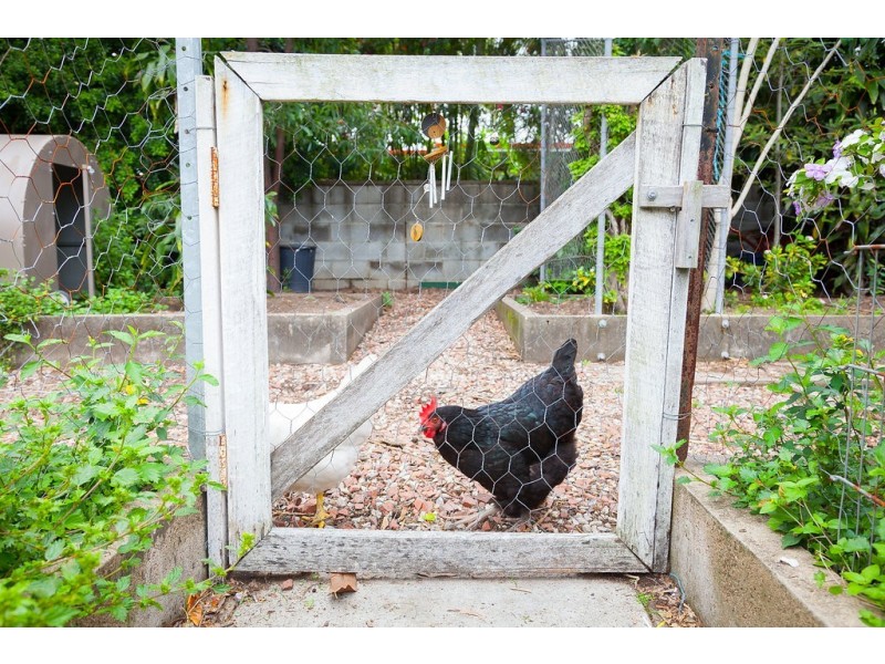 11 Jellicoe Street, Brassall QLD 4305