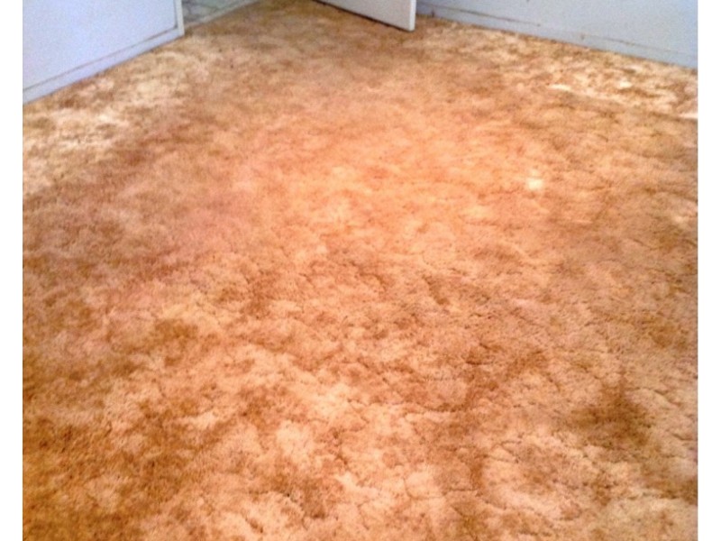 1286 Ripley Road, South Ripley QLD 4306