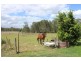 172 North Station Road, North Booval QLD 4304