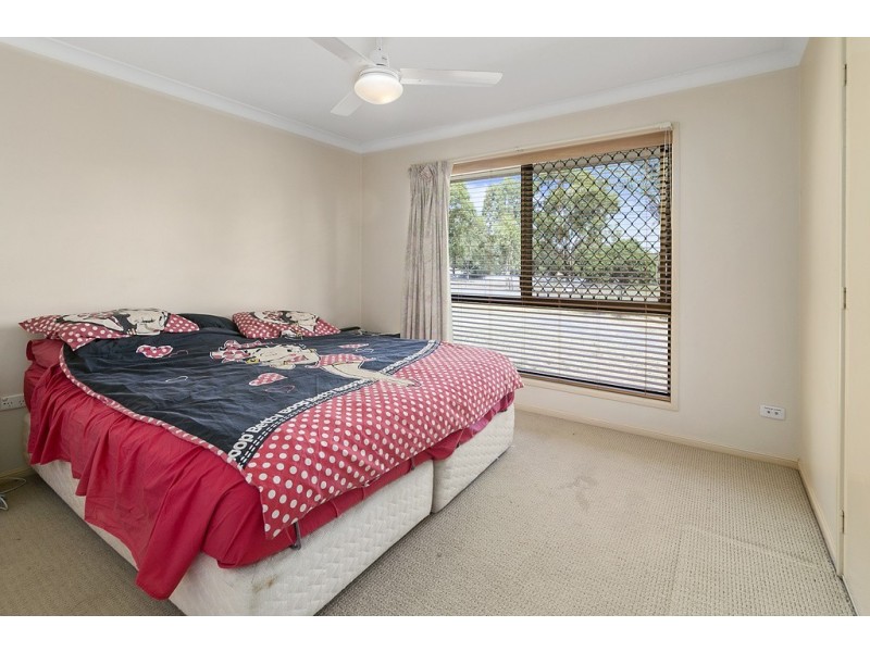 17 Wisteria Street, Walloon QLD 4306