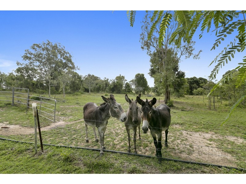 90-114 Caledonian Road, Mount Marrow QLD 4306