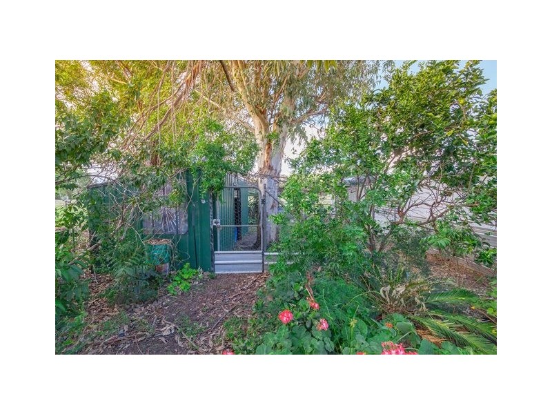 11 Burns Street, Fernvale QLD 4306