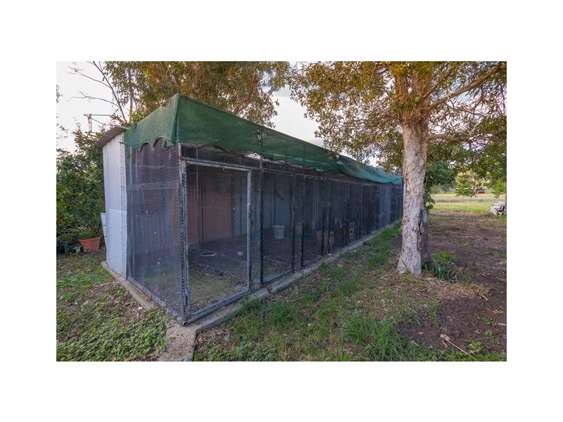 11 Burns Street, Fernvale QLD 4306