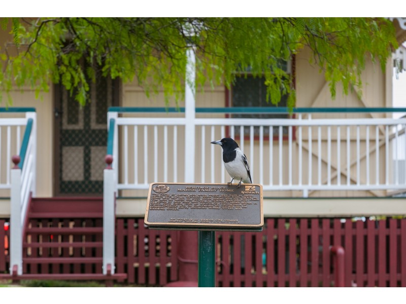 187 Wildey Street, Raceview QLD 4305