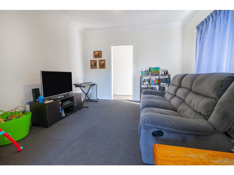 20 Thurso Street, North Booval QLD 4304