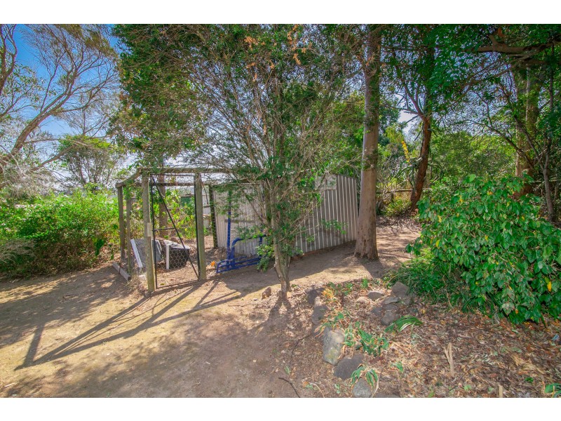3 Flame Tree Court, Walloon QLD 4306