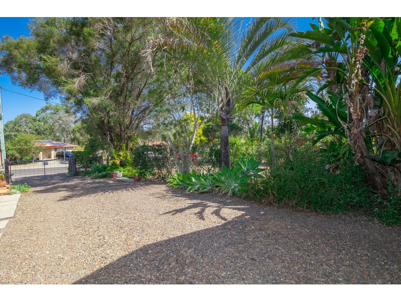 3 Flame Tree Court, Walloon QLD 4306