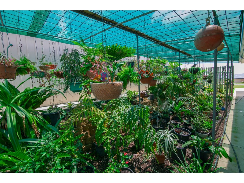 5 Miles Court, Harrisville QLD 4307