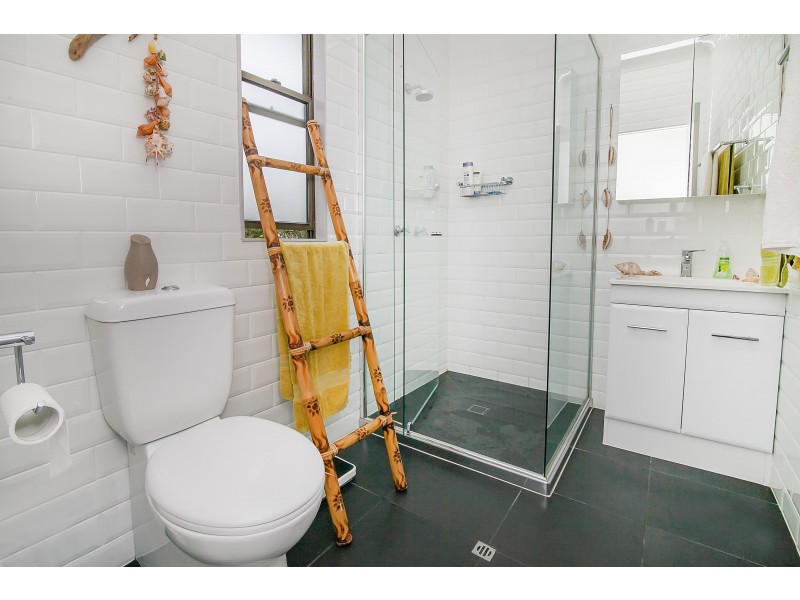 55 Alice Street, Silkstone QLD 4304