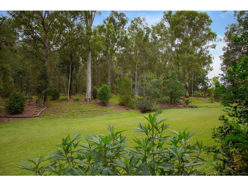 72 Cabernet Crescent, Pine Mountain QLD 4306