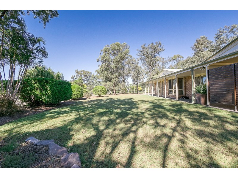 63 Elm Road, Walloon QLD 4306