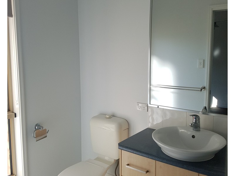 22 Doorey Street, One Mile QLD 4305