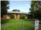 41 Selwyn Street, North Booval QLD 4304